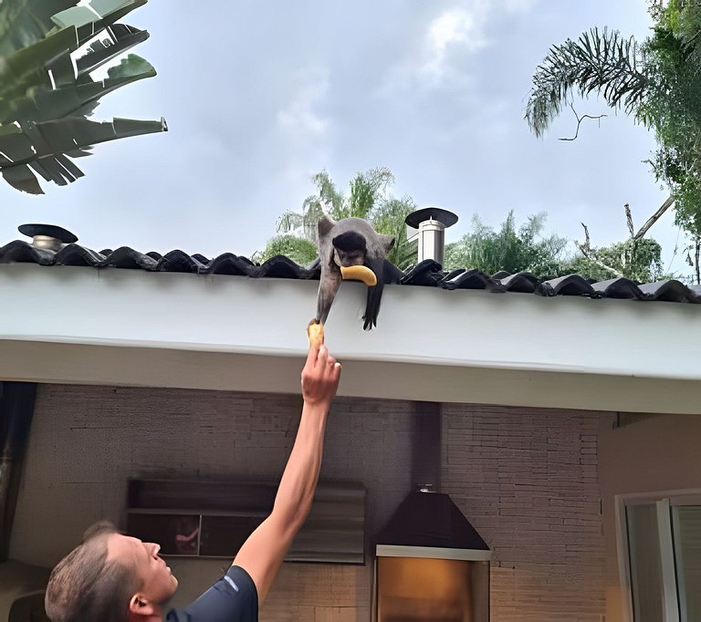 A Melhor da Riviera! 5 Suítes | Piscina Aquecida