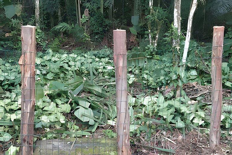 A Melhor da Riviera! 5 Suítes | Piscina Aquecida