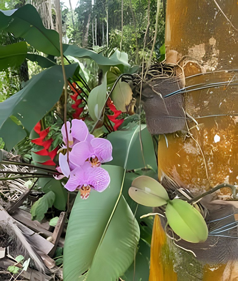 Linda Casa de 5 Quartos na Riviera - Mod 22